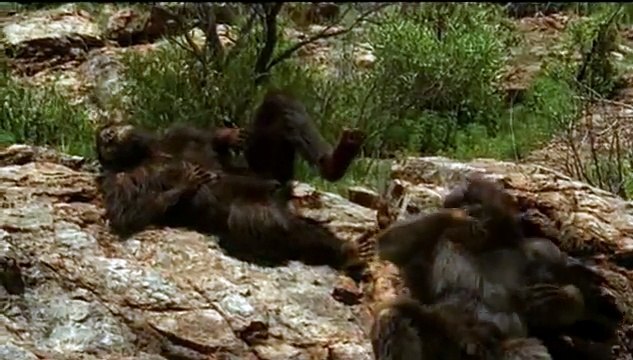 3 400 000 AC Australopitecus: Historia de Lucy