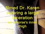 suturing a horse's leg filmed for Twombly Publishing