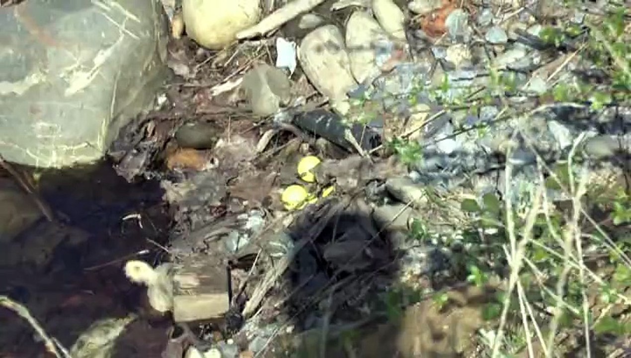 PAU - 14 AVRIL 2015 - IDRON : UNE LEÇON PARTICULIÈRE AVEC CLÉMENT AU GOLF D'IDRON.