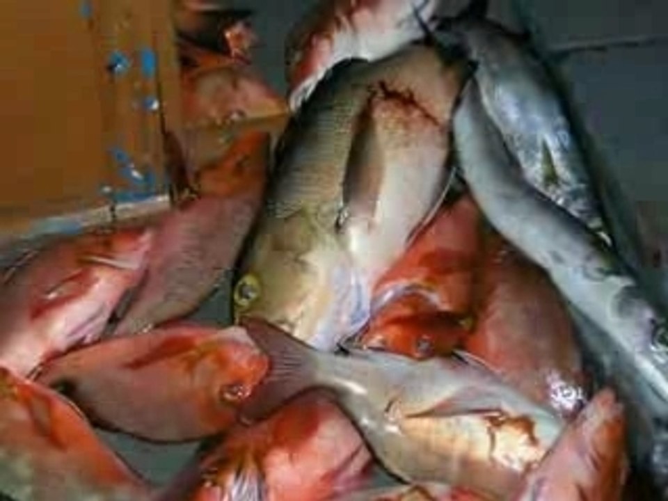 Diaporama des Maldives