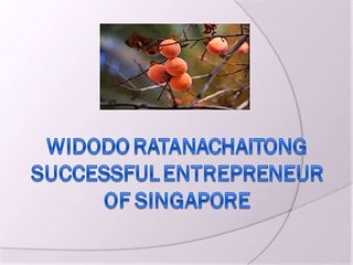 Widodo Ratanachaitong successful entrepreneur of Singapore