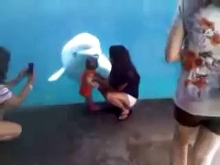 Beluga Whale Tries To Eat A Baby - Best TimePass