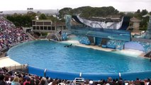 ♥♥ SeaWorld's old 