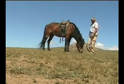 Mongolie la steppe mongole (MG-6) Mongolia Монгол улс