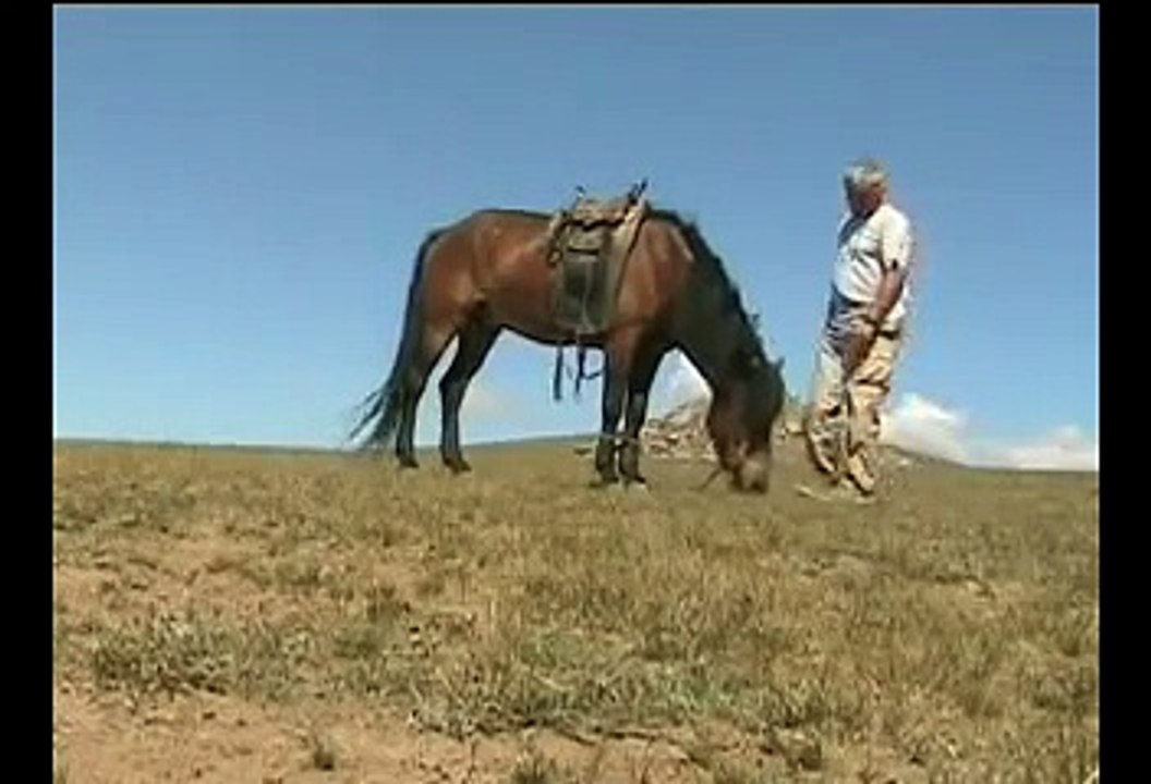 Mongolie la steppe mongole (MG-6) Mongolia Монгол улс