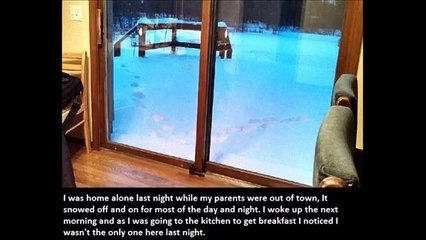 【閲覧注意】衝撃！フェイクじゃない…　リアルだからこそ怖すぎる写真