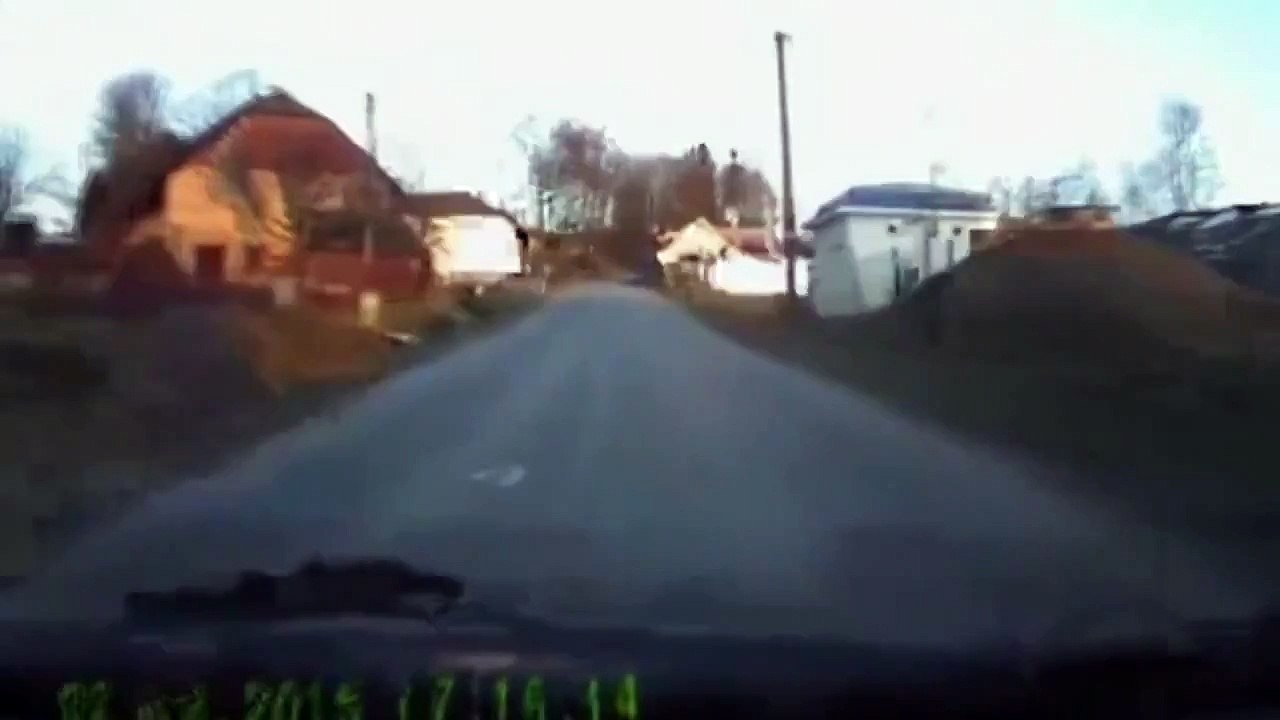 Выгулял хозяина