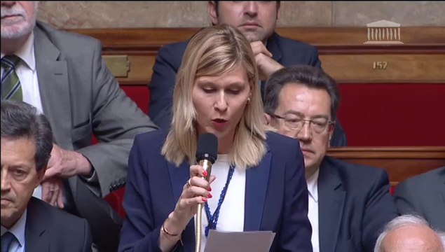 Virginie Duby-Muller - Réforme des collèges