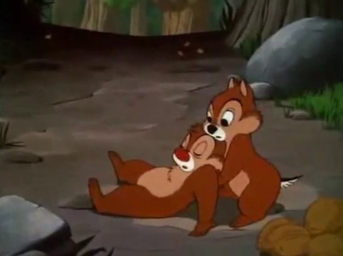 Donald Duck & Chip N Dale Cartoon - All In A Nutshell