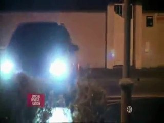 Renard Caids des Cites Grand Banditisme