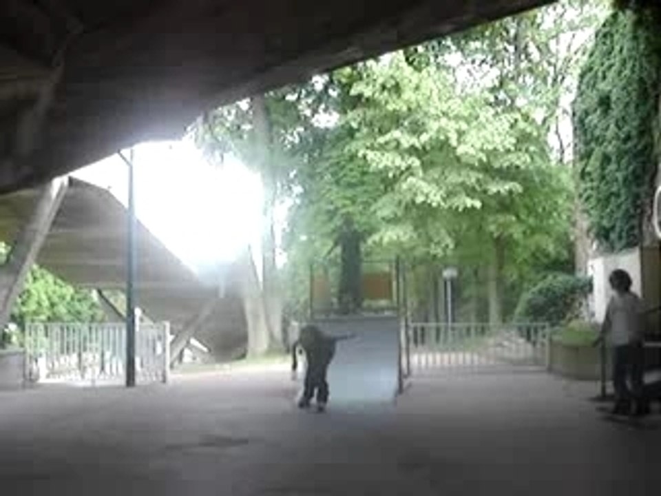 benki