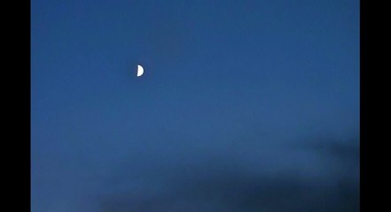 Davide Van De Sfroos - Loena De Picc (Cantata In Italiano)