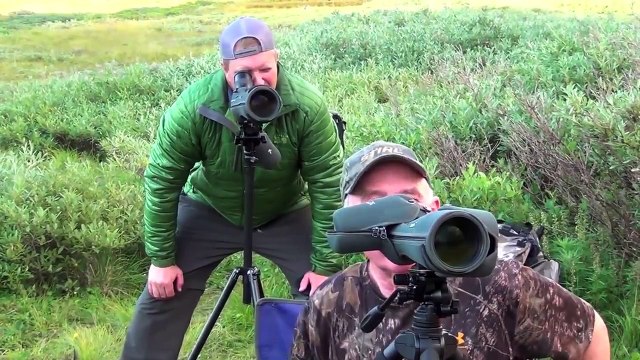 Dall Sheep Hunt Video - Alaska