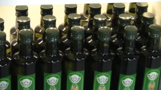 Zeytin ve Yağının Fiyatı Üreticiyi Sevindirdi