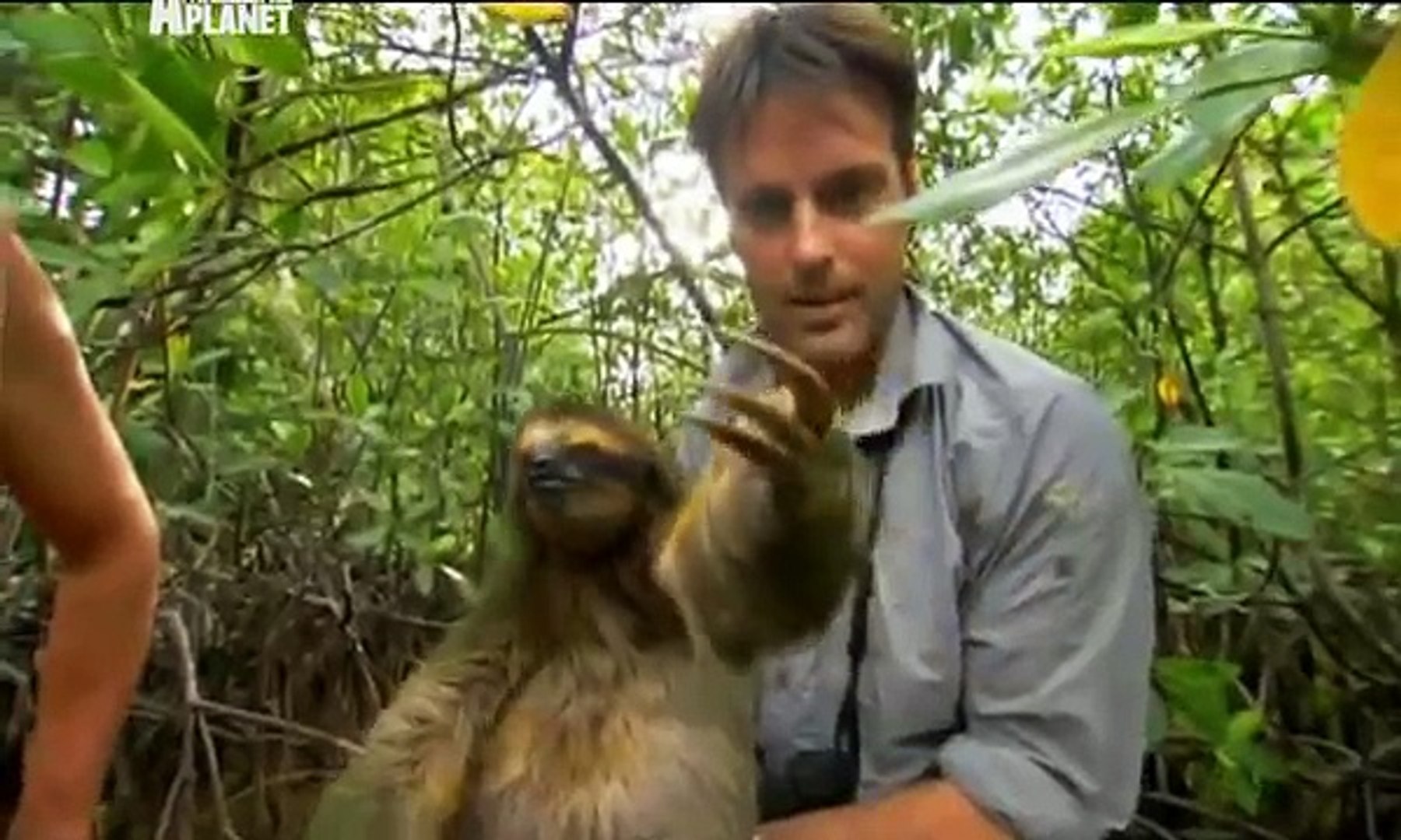 Nick Baker and Pygmy Sloth