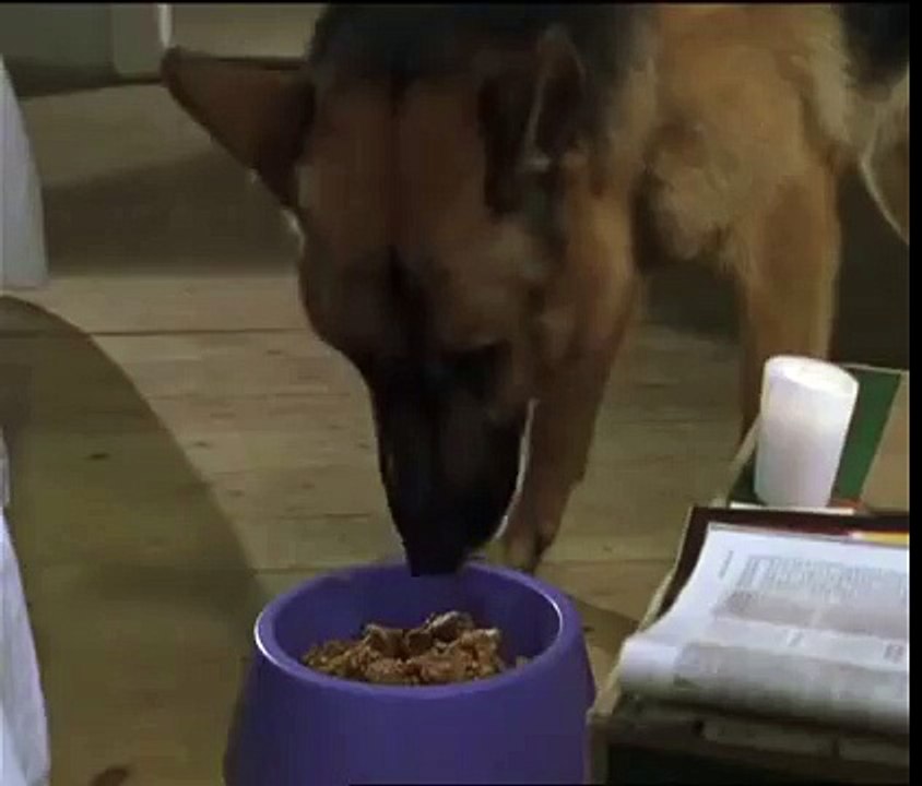 Rex chien flic - La rencontre Rex et Alex