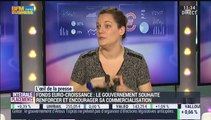 Contrats euro-croissance: Quelles sont les modalités d'investissement ?: Aurélie Fardeau - 15/04