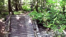 4 hour Bigfoot encounter - Sasquatch in Golden Ears Provincial Park