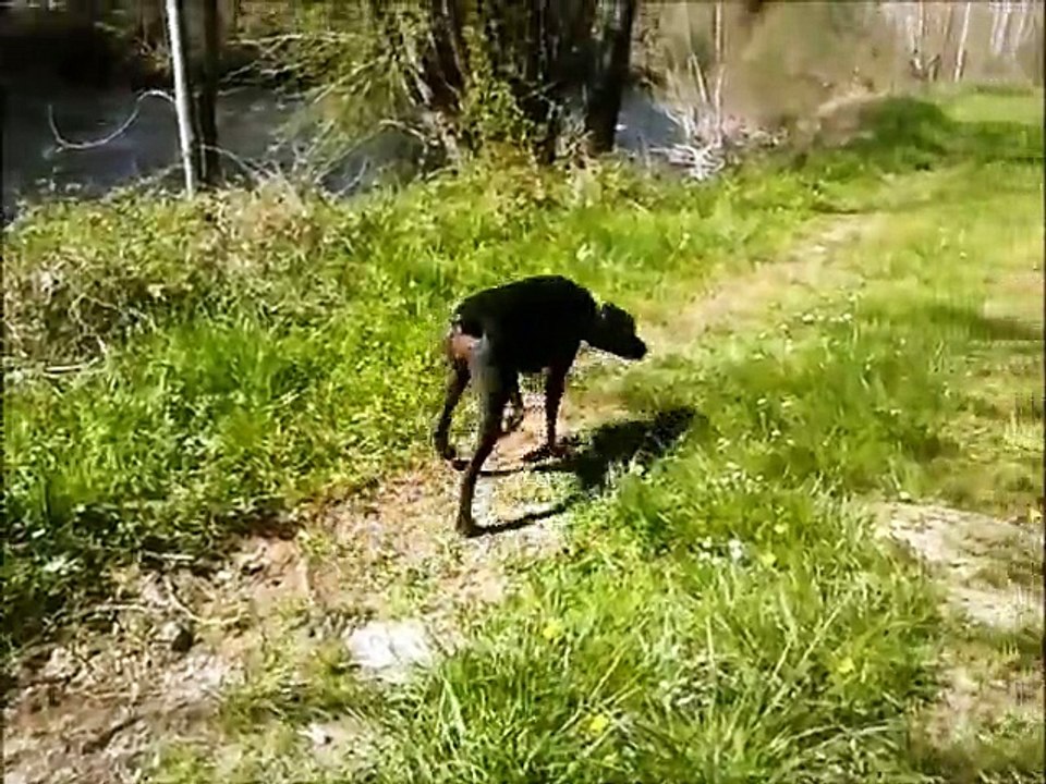 Lilou150415