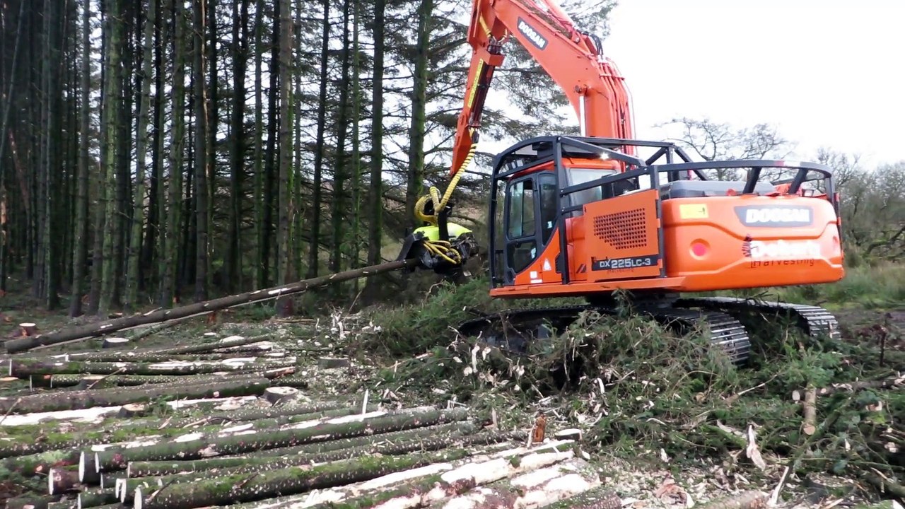 AFM 75 - Doosan 225
