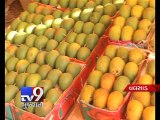 Mangoes to cost more this year due to unseasonal rains, Valsad - Tv9 Gujarati
