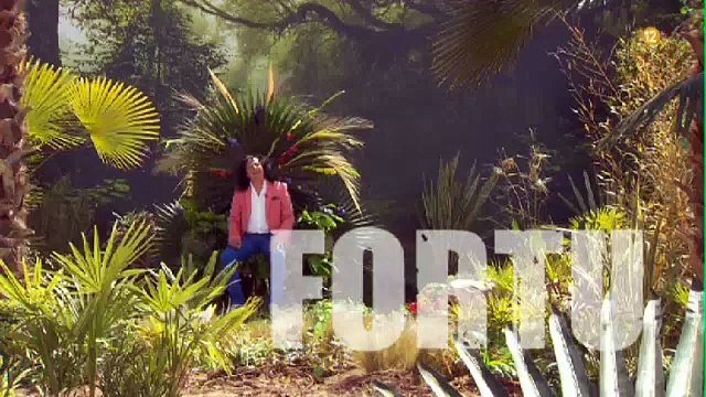 Todo preparado en la isla para el estreno de 'Supervivientes', este jueves a las 21.50 h