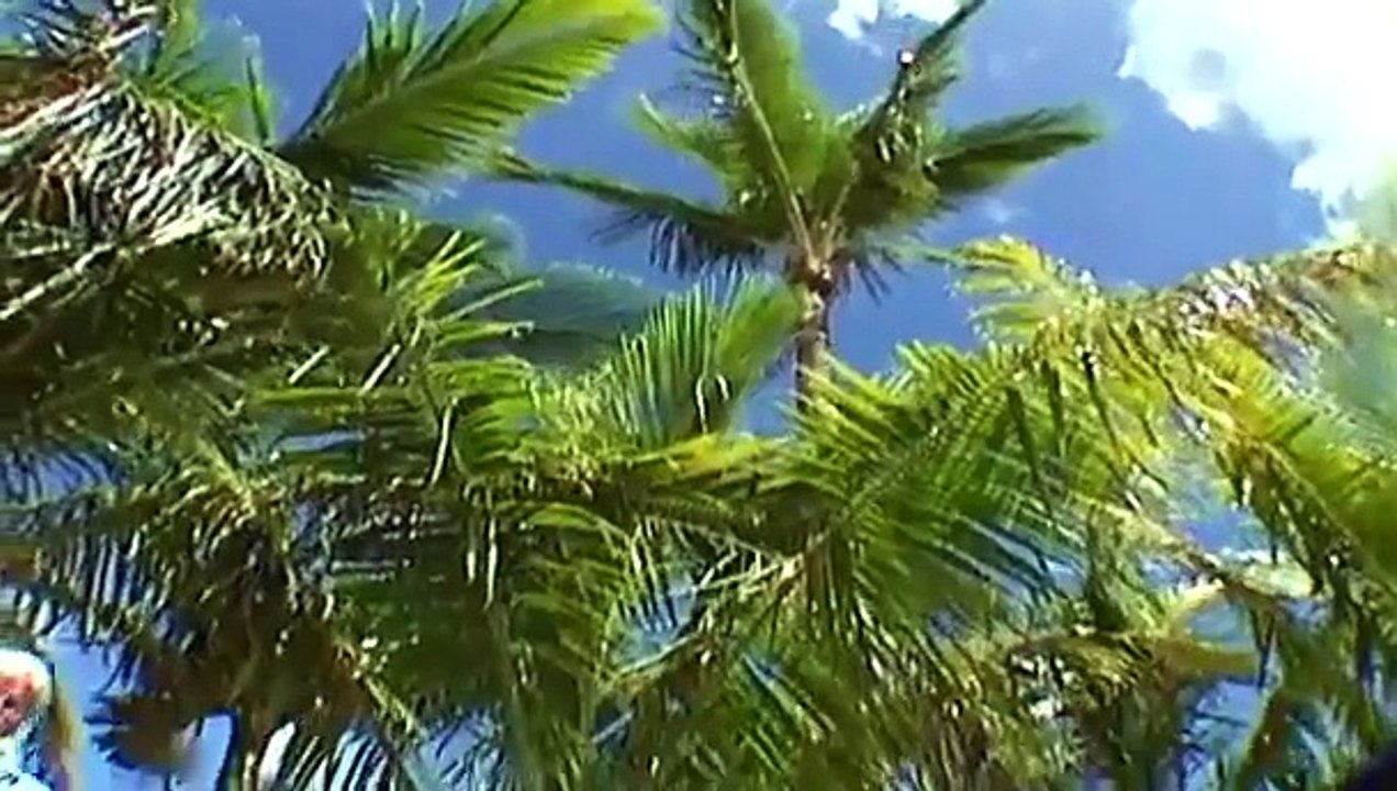 The New Detectives - Web of Clues