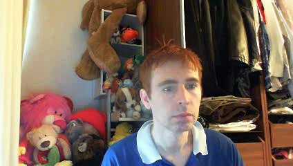 Wiwi égratigne "type normal" de Saule