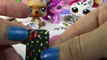 Fan Mail #24 - Mystery Surprise Mommies Gifts Littlest Pet Shop LPS