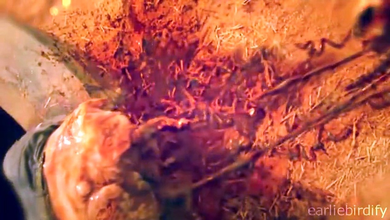 Hey Brother - The Walking Dead