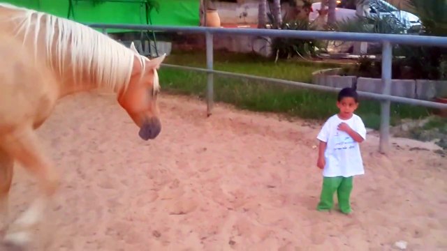 ילד מיוחד, עם סוס מיוחד. boy with Williams syndrome creates nonverbal communication with a horse