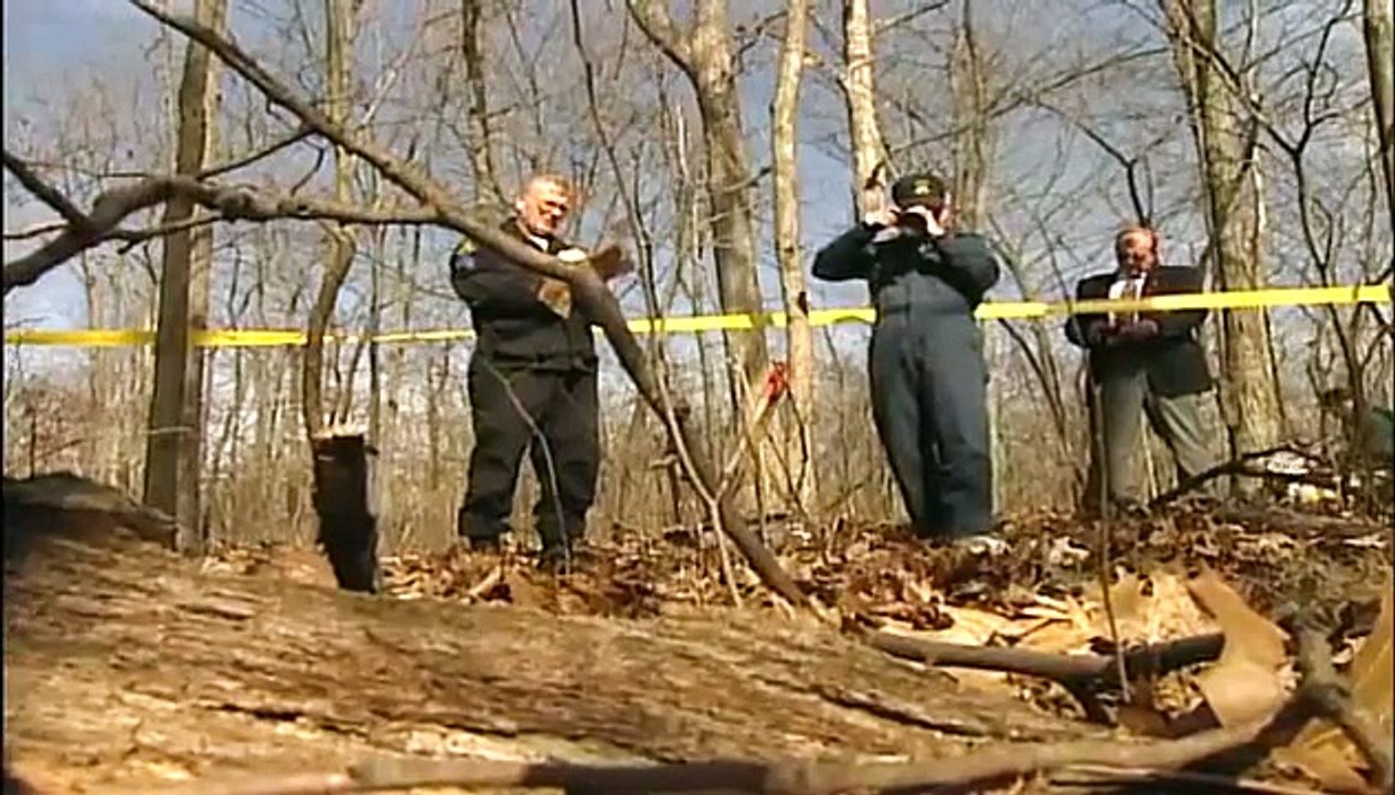 The New Detectives - Without a Trace
