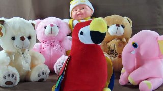 Kids Soft Toys - Age Between 1 to 3 Years