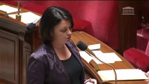 Construction de logements : S. Pinel répond à une QAG de J. Myard