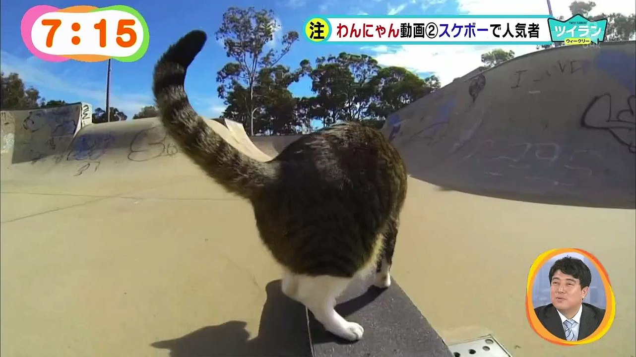 meza_150321土1