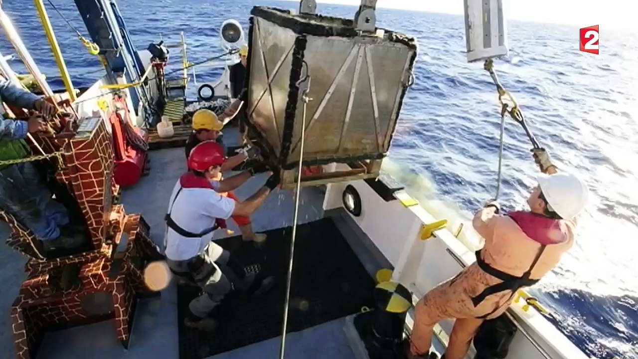 Un trésor inouï ressurgit des profondeurs de l'Atlantique