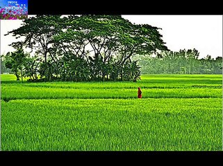ESO SHYAMAL SUNDAR DEBABRATA BISWAS