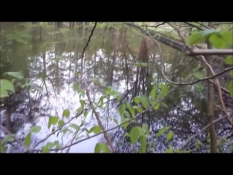 WW2 Relikte Teil 77 : LOST PLACES Waldkrankenhaus der Wehrmacht ( WK2, Hitler, 3. Reich)