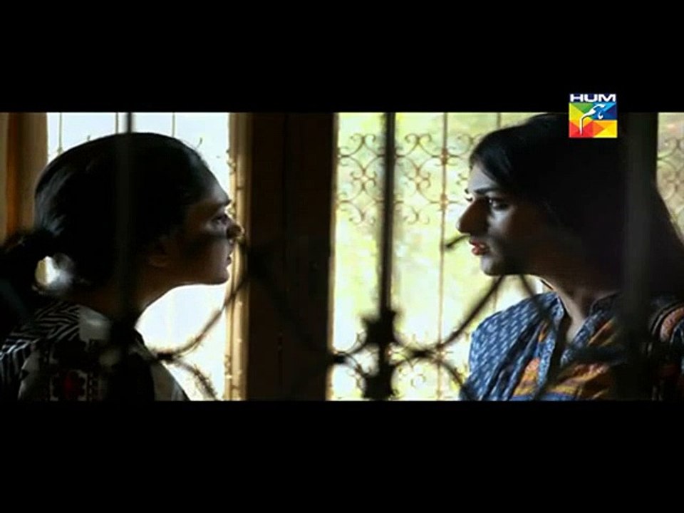 Alvida Episode 10 15th April 2015 Part 3 Hum TV