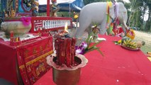 Chinese New Year 2015 in Koh Chang Temple