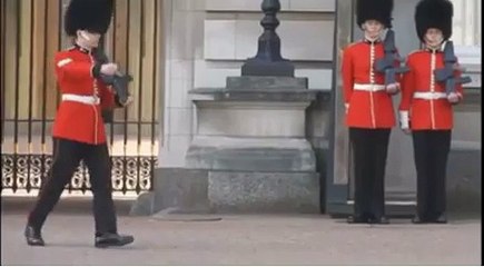 La chute spéctaculaire d'un garde de la Reine d'Angleterre à Buckingham Palace.