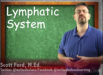 Lymphatic System : Introduction To The Lymphatic System (15:01)