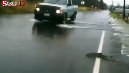 Asfalt yola kadar geldiler