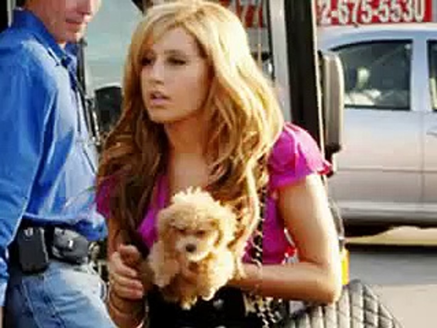 Celebrities and their dogs