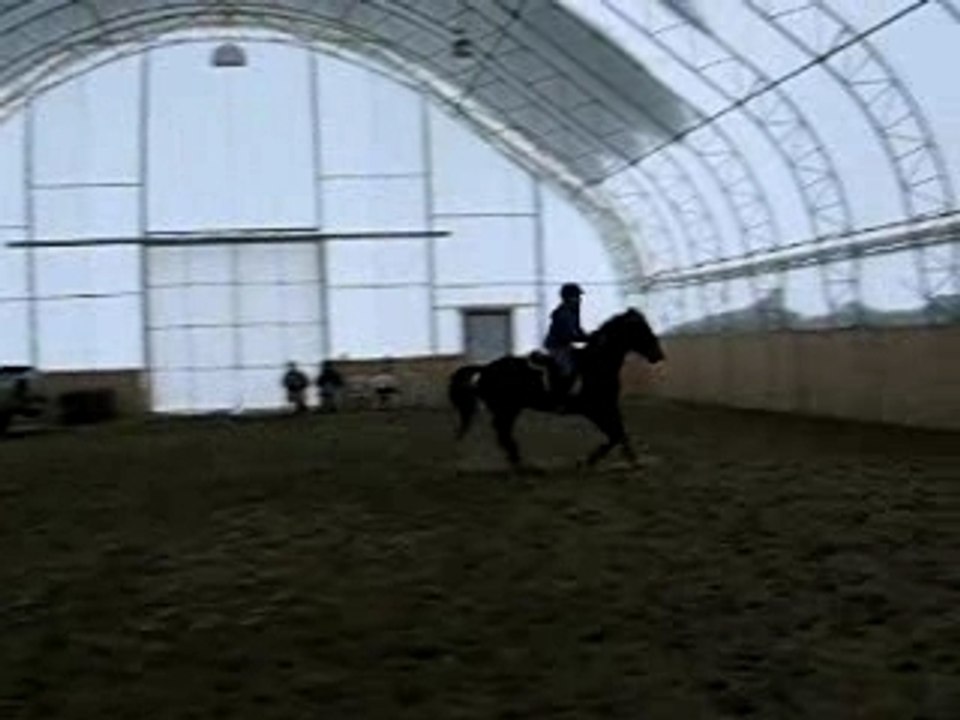 Theya et Cimio - Obstacle (X) au Galop