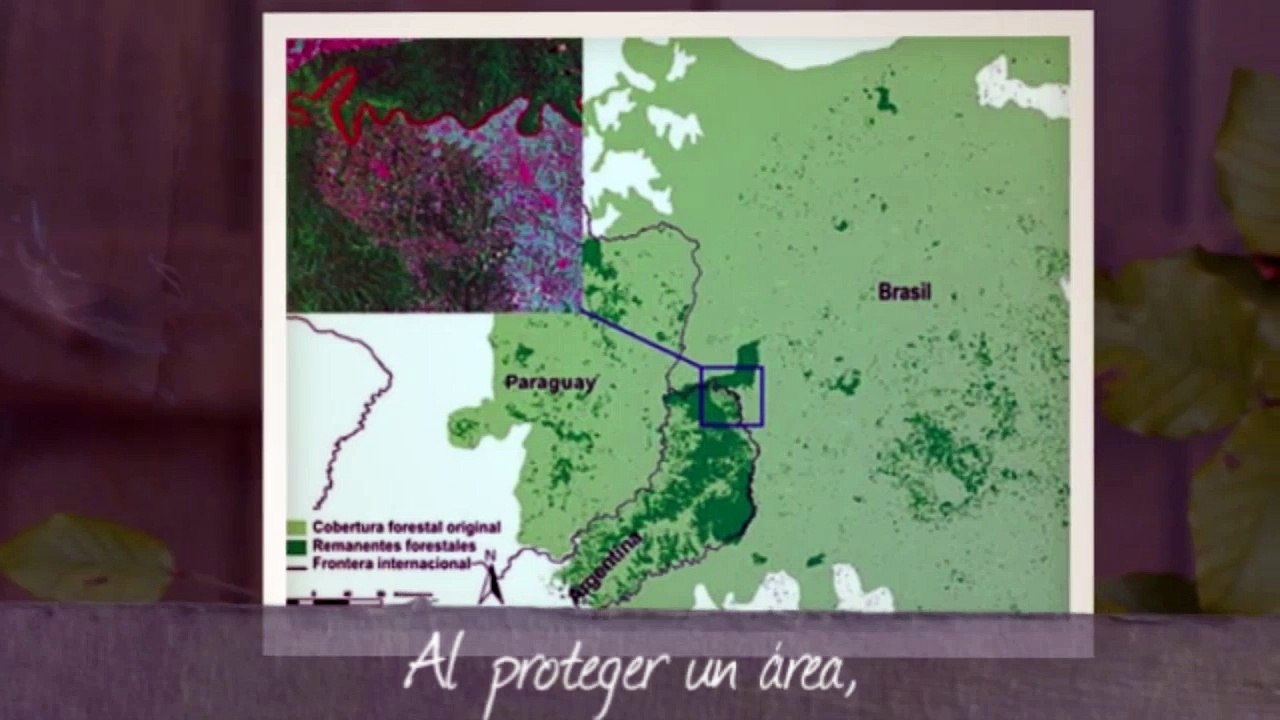 Geografía - Unidad de repaso - Las áreas naturales protegidas
