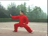 chen style taijiquan 36 forms