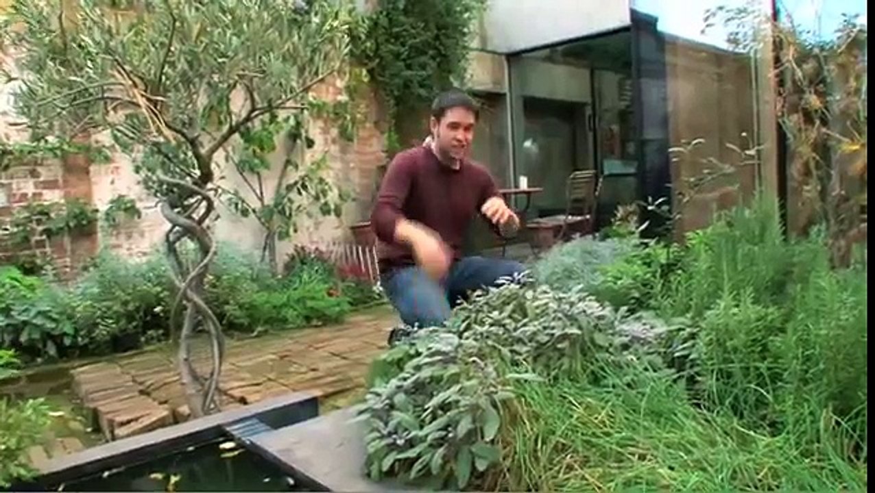 Grow Your Own Drugs/ A Year With James Wong
