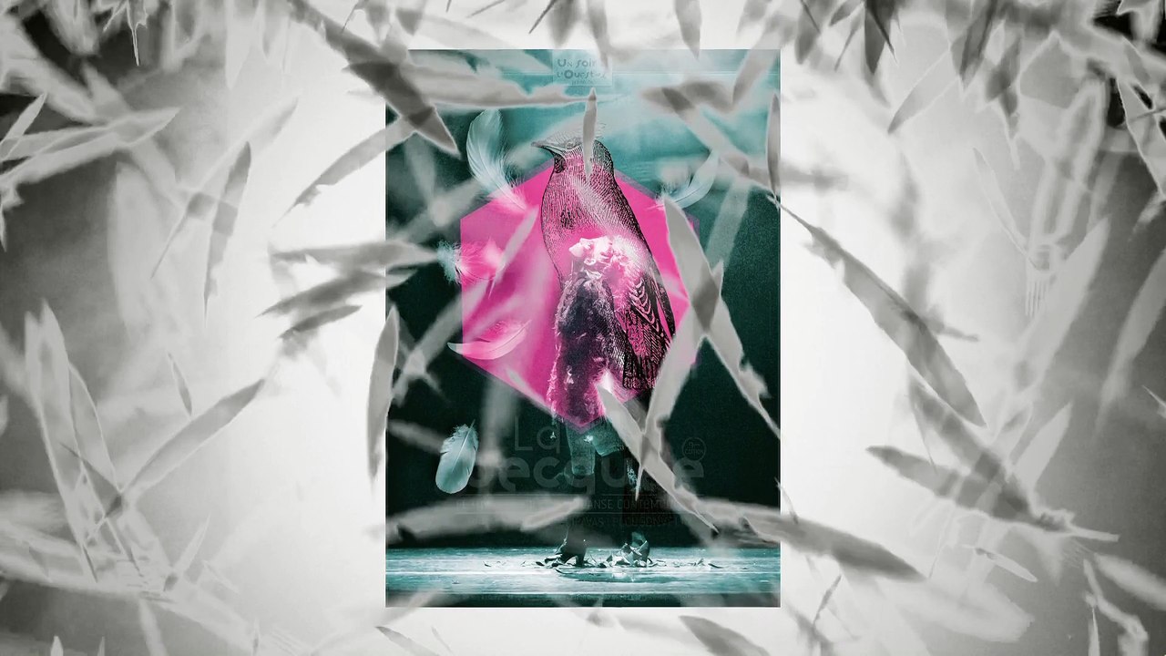 B15 - Clip affiche