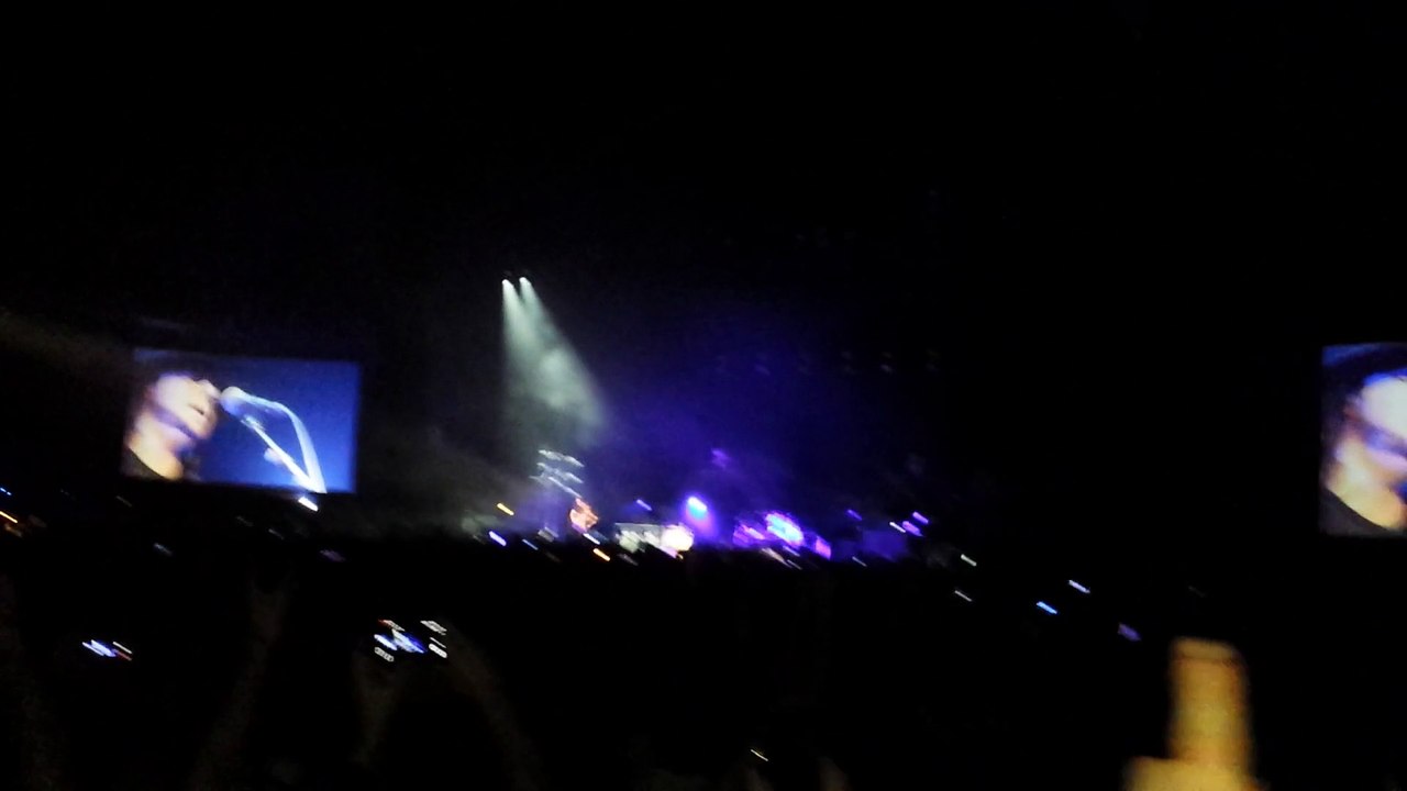 14-04-2015 LYON -  System Of A Down